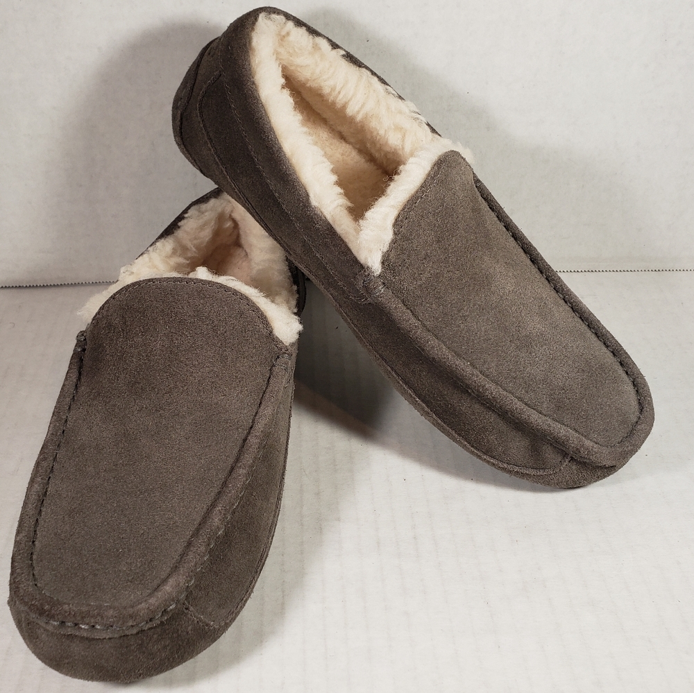 NWT Men's UGG Ascot Shoes